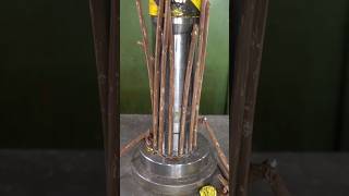 🍇 Grape Crushing with Hydraulic Press amp Worm Maker 🤩🪱🤯 HydraulicPress viral satisfying [upl. by Ellehsal]