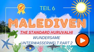 Die Malediven Teil 6 Wilde Blaue Ozeane [upl. by Pudendas996]