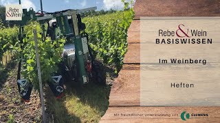 Rebe amp Wein Basiswissen  Im Weinberg Heften [upl. by Enneirdna]