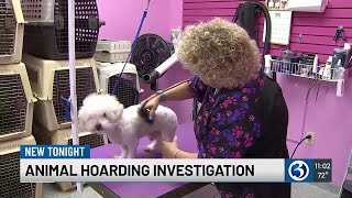 Animal hoarding investigation in Wallingford [upl. by Emilee]