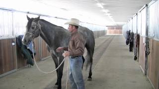 Teaching lateral flexion in the snaffle [upl. by Gerome]