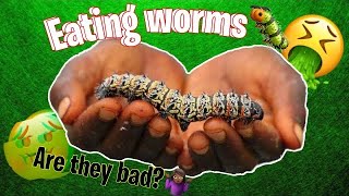 Mopane worms challenge🐛 The Epic life of Lee [upl. by Lletniuq]