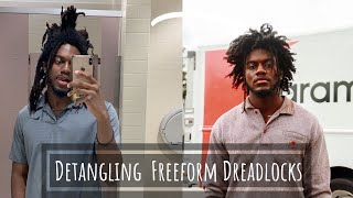 How To Detangled Freeform Dreadlocks  Garry Washington [upl. by Ailel685]