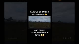 Careful of Barbed Wire in DayZ Shorts [upl. by Liebman]