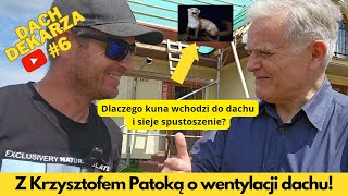 DACH DEKARZA 6  Krzysztof Patoka o wentylacji dachu papie membranie i kunach niszczących dachy [upl. by Shelba]