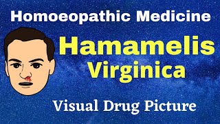 HAMAMELIS VIRGINICA Homoeopathic Medicine Uses Symptoms  BHMS Students HAEMORRHAGE [upl. by Llehcnom]