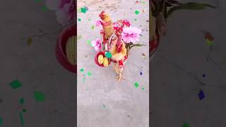 chacha alam Sheri great man aseel murgaaseel murga tiktokaseel murga WhatsApp status [upl. by Aved362]