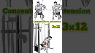 concentration extension ll exercise ll body building workout ll fitness center youtubeshorts yout [upl. by Weissmann]