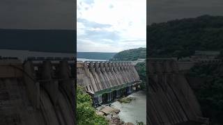 Srishailam dam gates opening srishailam dam views roadtrip nature waterproject trending [upl. by Micheil]