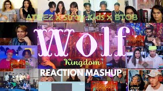 ATEEZ X Stray Kids X BTOB MAYFLY  WOLF Kingdom Performance REACTION MASHUP [upl. by Akemit506]