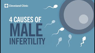 4 Causes of Male Infertility [upl. by Eanat]