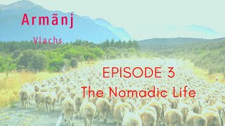 The nomadic lifeepisode 3 Vlacs  Aromanians  Armãnji [upl. by Rosenthal]