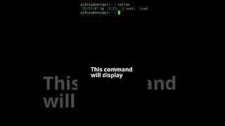 How to Find Your Linux Uptime shorts [upl. by Ecadnarb]