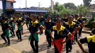 Batticaloa Vincent Girls High School Sports Meet 2015 [upl. by Sorac641]