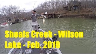 Fishing Shoals Creek on Wilson Lake Alabama [upl. by Daile185]