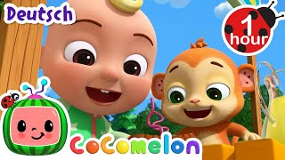 Die klitze kleine Spinne  CoComelon  JJs Animal Time Deutsch  Cartoons und Kinderlieder [upl. by Omland173]