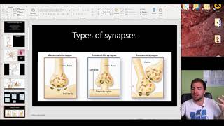 Histology of the Nerve tissue [upl. by Osbert]