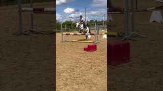 Diament💗 cheval CSO equitation equestrian horse [upl. by Atsylak]