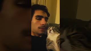 funny catcatcatscatlover catshorts funnycatsyoutubeshorts funnyvideo music [upl. by Nialb]