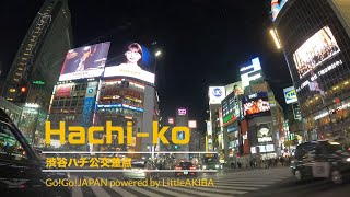 【Invehicle video】Night Drive Through Harajuku Shibuya and Shinjuku [upl. by Helm457]