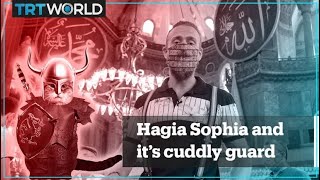 A historical change to Hagia Sophia but its cuddly guardian still reigns [upl. by Ahseihs]