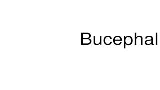 How to pronounce Bucephalus [upl. by Cadal]