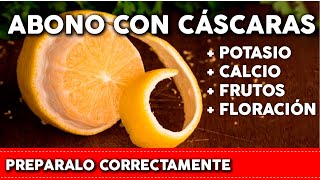 LIMON BANANA y otras frutas en tus PLANTAS Pon su CÁSCARA pero de la forma correcta  Abono Casero [upl. by Assirahs]