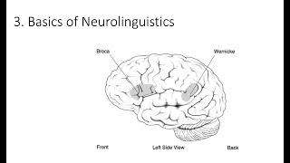 63 Basics of Neurolinguistics Fundamentals of Cognitive Neuroscience Course Session 6 Part 3 [upl. by Ijneb377]