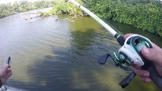 3lb Bass on Jig in the trees [upl. by Grogan]