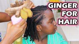 Ginger for Hair Growth Hair Loss and Dandruff  DiscoveringNatural [upl. by Fessuoy]