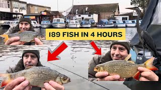 Coarse Fishing wroxham river bure Norfolk broads 189 fish in just a few hours big Rudd amp roach [upl. by Mears]