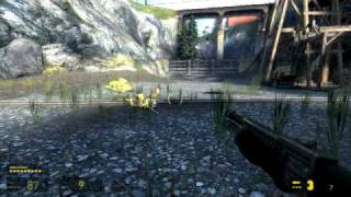 Half Life 2 Episode 2 Antlion Guardian [upl. by Chessa]