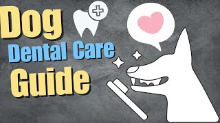 Dog Dental Care Guide Easy Steps to Keep Your Dog’s Teeth Healthy [upl. by Skipp822]