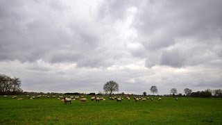 Weerbericht 6 april 2016 Eerst regen later kans op pittige buien [upl. by Nimaynib]