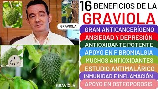 16 BENEFICIOS🌿🌳GRAVIOLA🌳🌿ANTICANCERÍGENO😮CORAZÓN❤️DEPRESIÓN👏HEMORROIDES👍FIBROMIALGIA🏋️ANTIMICROBIANO [upl. by Noemi]