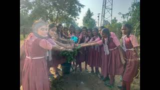 Tree plantation programme in our school [upl. by Ado85]