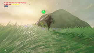 🎮 Triple núcleo ancestral b  Zelda Breath of The Wild [upl. by Nyvlem152]