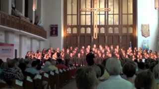 Stellenbosch University Choir  Domine Deus Meus [upl. by Crain484]