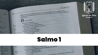 Salmo 1 [upl. by Reviel]