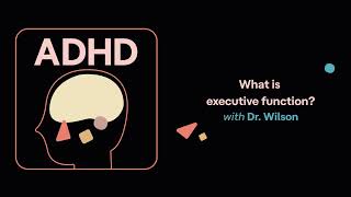 ADHD Aha  What is executive function [upl. by Erda535]