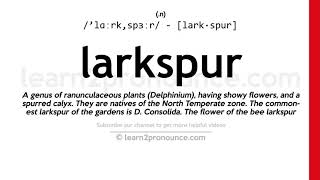 Pronunciation of Larkspur  Definition of Larkspur [upl. by Allemaj]