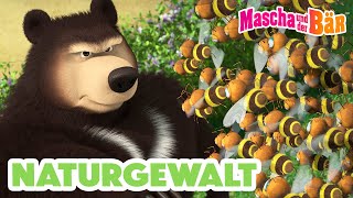 Mascha und der Bär 2024 💪🐝 Naturgewalt 📺 Prächtige Blüten 🌻☀️ Verfügbar ab dem 24 Mai [upl. by Jillayne]