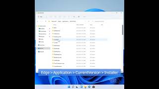 Uninstall Microsoft Edge from Windows11 [upl. by Rubma710]