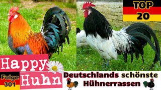 TOP 20 Die schönsten Hühnerrassen aus Deutschland Von Bielefelder bis Vorwerkhuhn  HAPPY HUHN E31 [upl. by Hsak786]