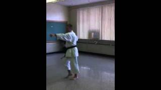 Fukyu Kata Dai Ichi Okinawan Gojuryu Karate [upl. by Enilesoj]