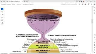 As fases do desenvolvimento motor desenvolvidas no modelo teórico dos autores Gallahue Ozmun e Goo [upl. by Slin]