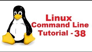 Linux Command Line Tutorial For Beginners 38  netstat command [upl. by Hermosa]