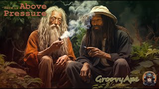 🌿🐇Dub  Reggae Ganjalf Mix  Jah Bless 420 [upl. by Jasen]