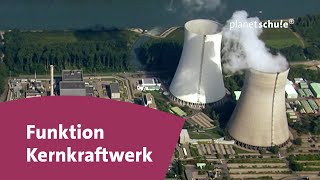 Wie funktioniert ein Kernkraftwerk  Frage trifft Antwort  planet schule [upl. by Petras508]