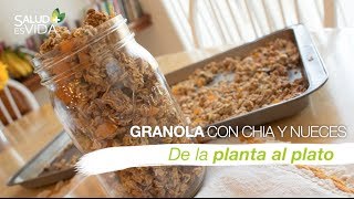 Granola rápida con chía y nueces [upl. by Ahsyat]